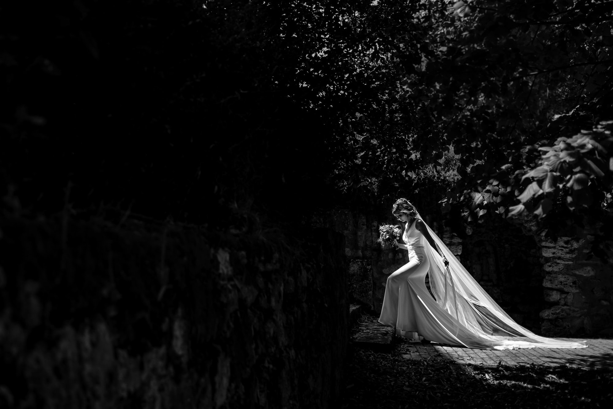 Fotógrafos de boda